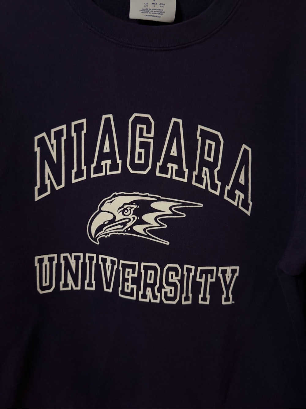 Champion Purple Niagara University Graphic Crewneck